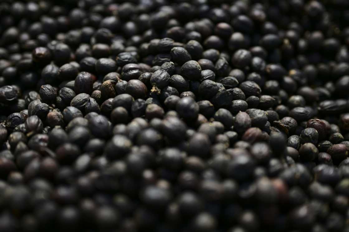 Coffee is one of the products now exempt from some of US President Donald Trump's tariffs, after prices had skyrocketed in the United States