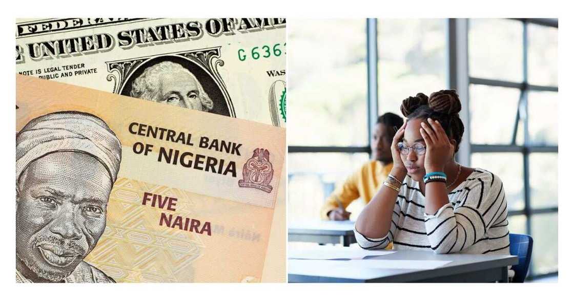 Niara, Dollar, Forex Market, Exchange Rate Niara, Dollar, Forex Market, Exchange Rate