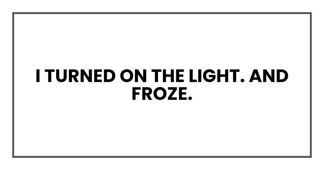 I turned on the light. And froze.