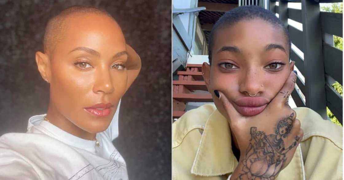 BBL, Jada Pinkett Smith, Willow Smith, Red Table Talk, Surgery