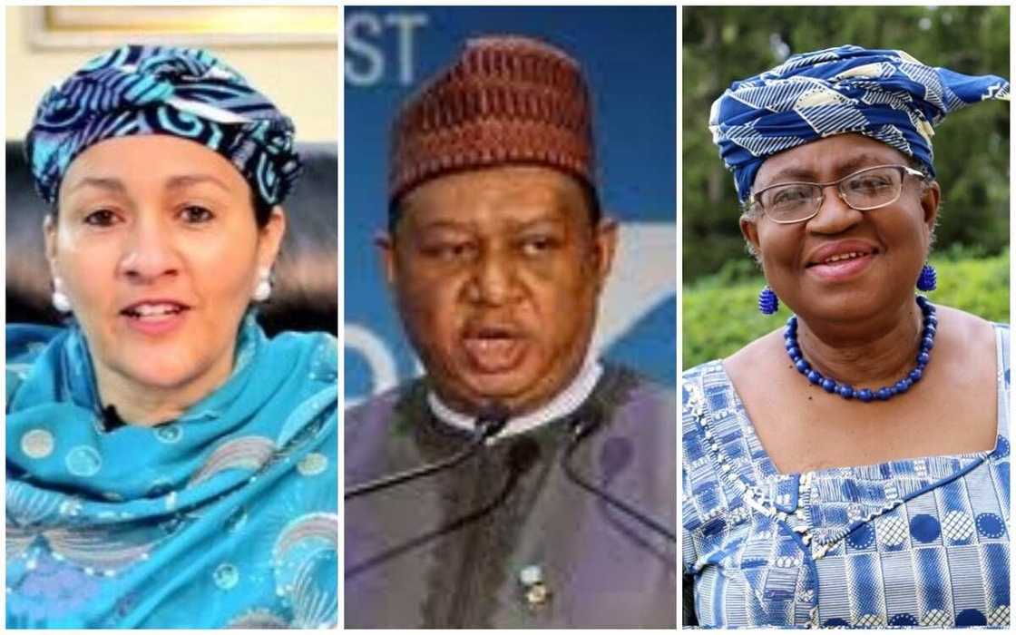 Fitattun 'yan Najeriya 5 da ke jan ragamar shugabancin wasu manyan hukumomin duniya Fitattun 'yan Najeriya 5 da ke jan ragamar shugabancin wasu manyan hukumomin duniya