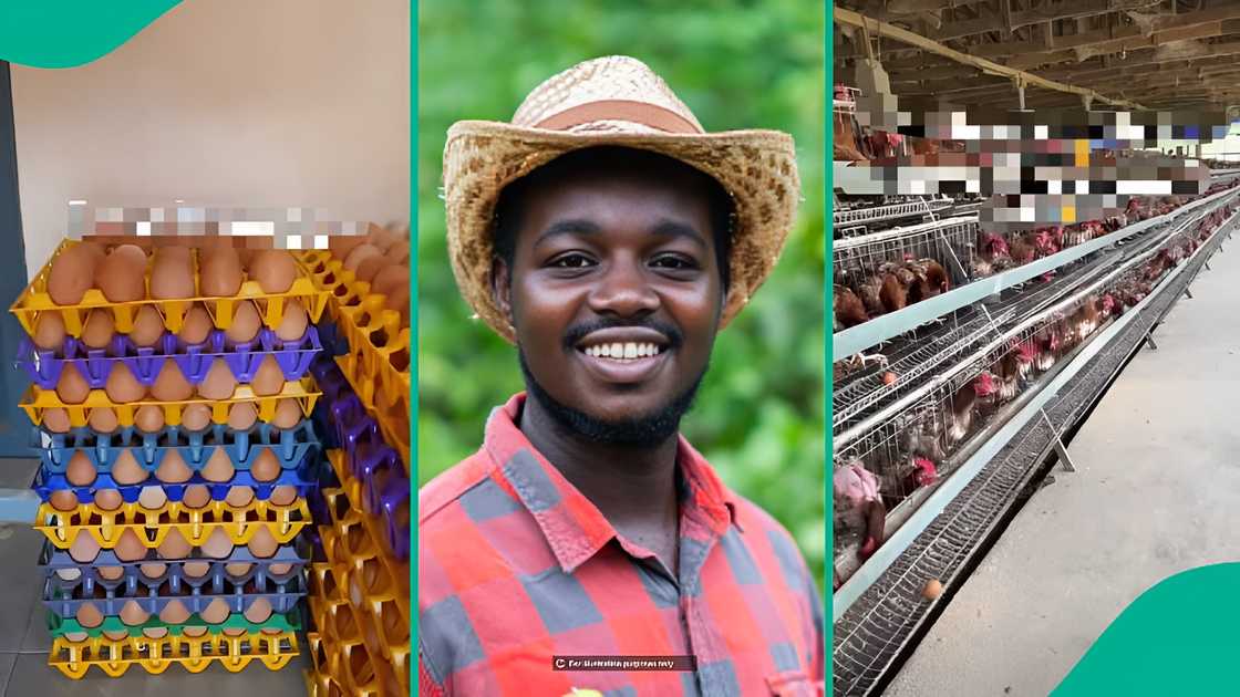 Boss shares how he kept employees from leaving for Christmas Boss shares how he kept employees from leaving for Christmas