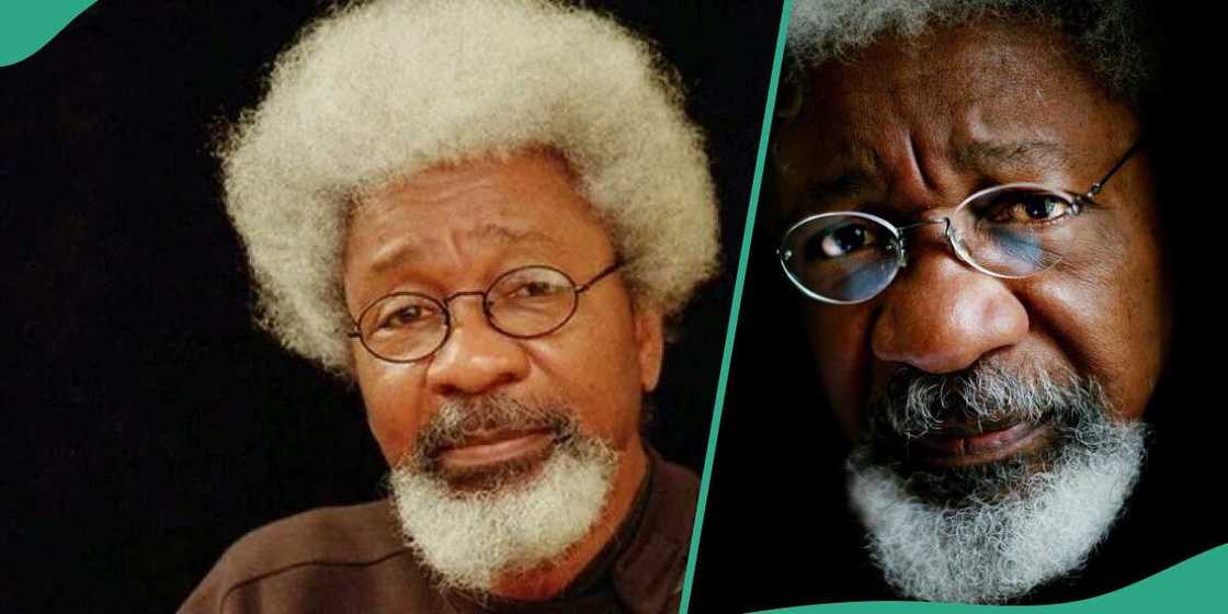 Professor Wole Soyinka's works comprises 25 plays, 10 essay collections, seven poetry collections, five memoirs, three novels, and two translated works. (Publishers’ synopses appear in quotes). He has two music albums as well.