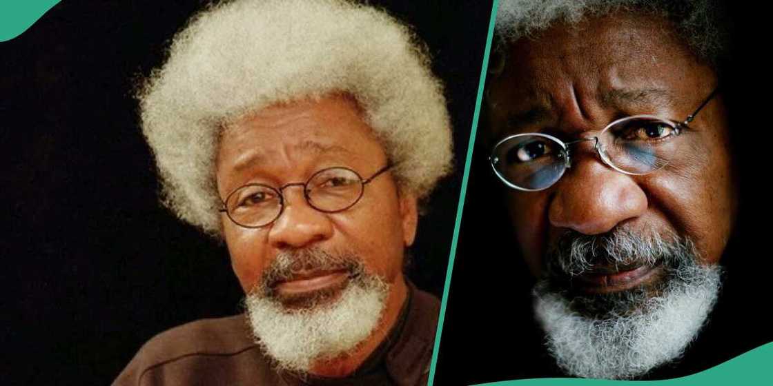 Wole Soyinka has revealed the condition that can make him accept US visa, adding that he has no issue with American citizens. Wole Soyinka has revealed the condition that can make him accept US visa, adding that he has no issue with American citizens.
