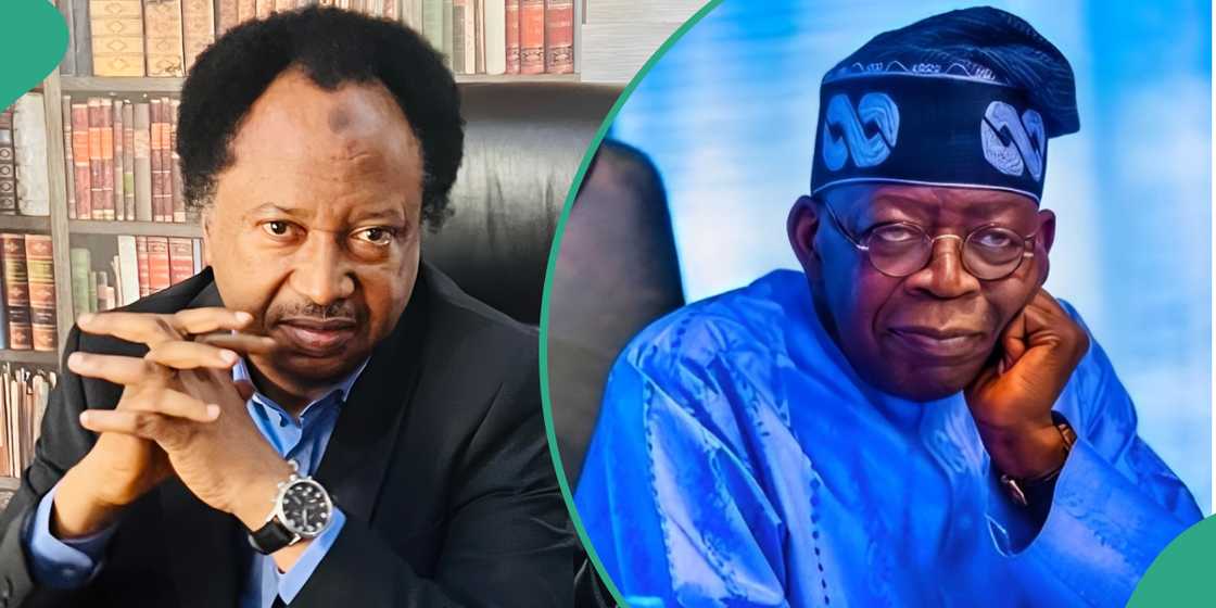 2027: PDP reacts as Shehu Sani, lawmakers dumped party for APC 2027: PDP reacts as Shehu Sani, lawmakers dumped party for APC