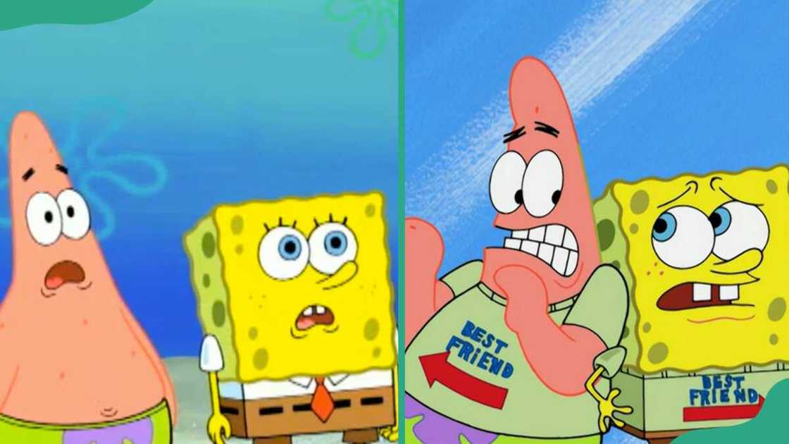 SpongeBob and Patrick