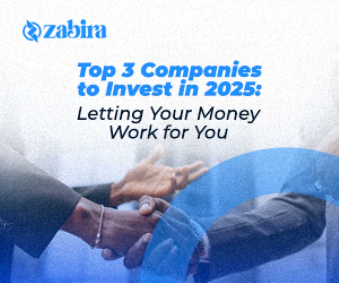 Zabira, 2 other companies to invest in 2025: Letting your money work for you Zabira, 2 other companies to invest in 2025: Letting your money work for you