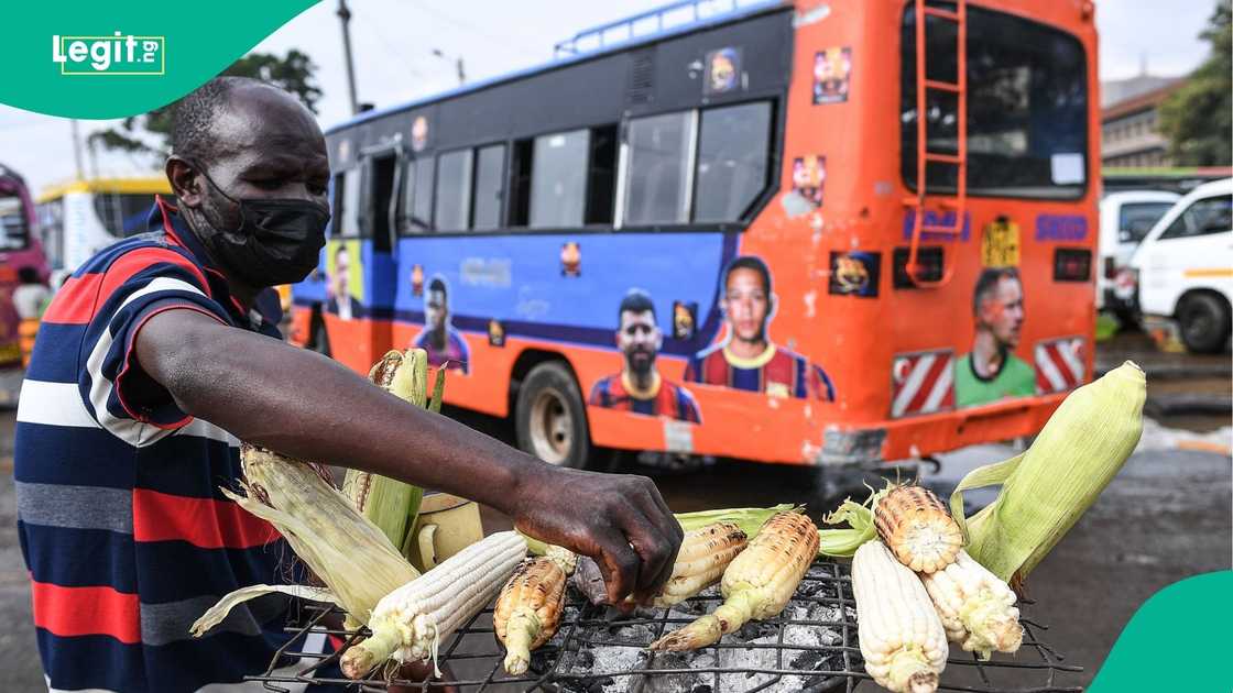 Can selling roasted corn really bring in N2.5 million every month? Nigerians weigh in.
