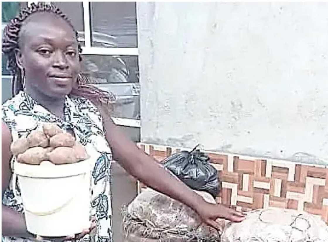 Christiana Pam. Christiana Pam.