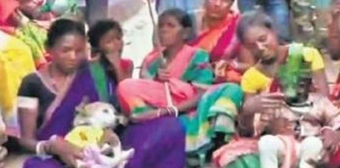 Hotunan auren yara 2 da karnuka bayan sun fara fitar da hakora ta dasashin sama Hotunan auren yara 2 da karnuka bayan sun fara fitar da hakora ta dasashin sama