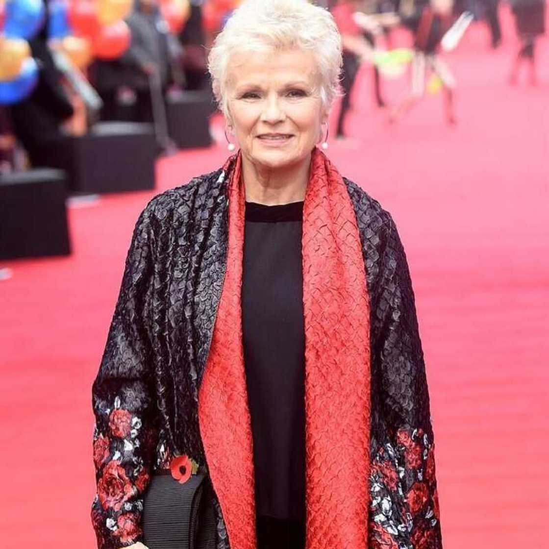 Harry Potter actor Harry Potter actor