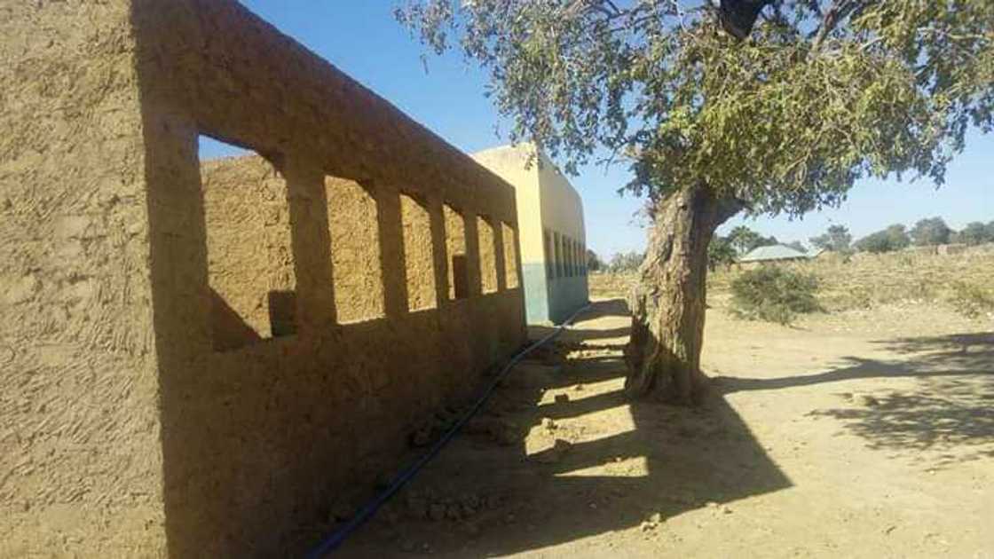 Hotuna: Daliban firamare a Katsina sun gaji da gafara sa, sun fara ginawa kansu ajujuwan karatu Hotuna: Daliban firamare a Katsina sun gaji da gafara sa, sun fara ginawa kansu ajujuwan karatu