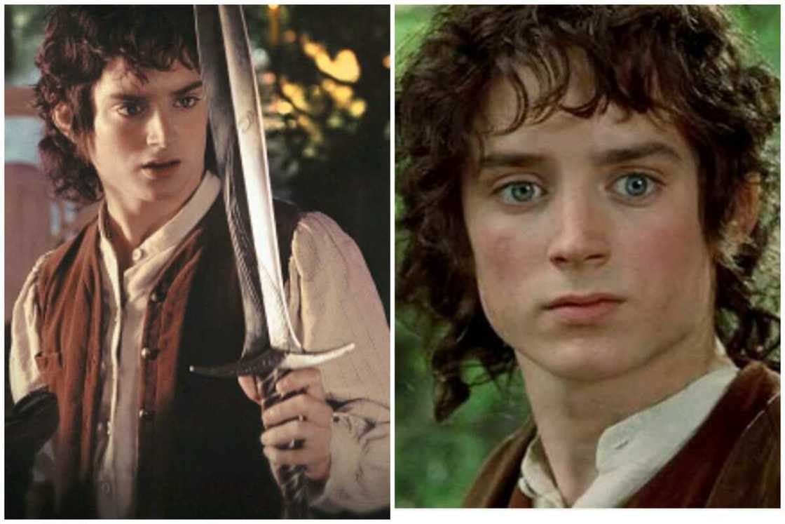 Frodo Baggins from The Lord of the Rings Frodo Baggins from The Lord of the Rings