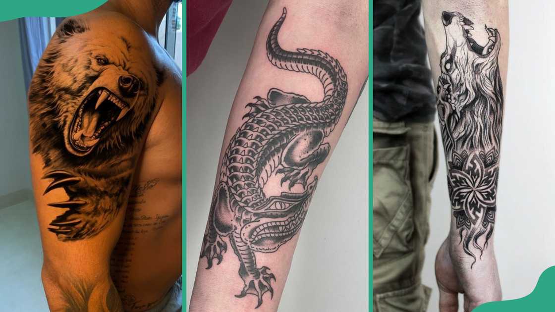Bear (L), crocodile (C), and wolf (R) tattoos Bear (L), crocodile (C), and wolf (R) tattoos