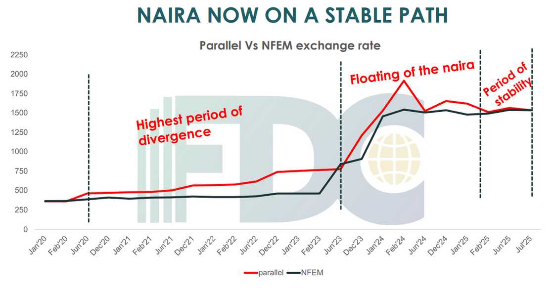 Rewane projects new naira to dollar exchange rate Rewane projects new naira to dollar exchange rate