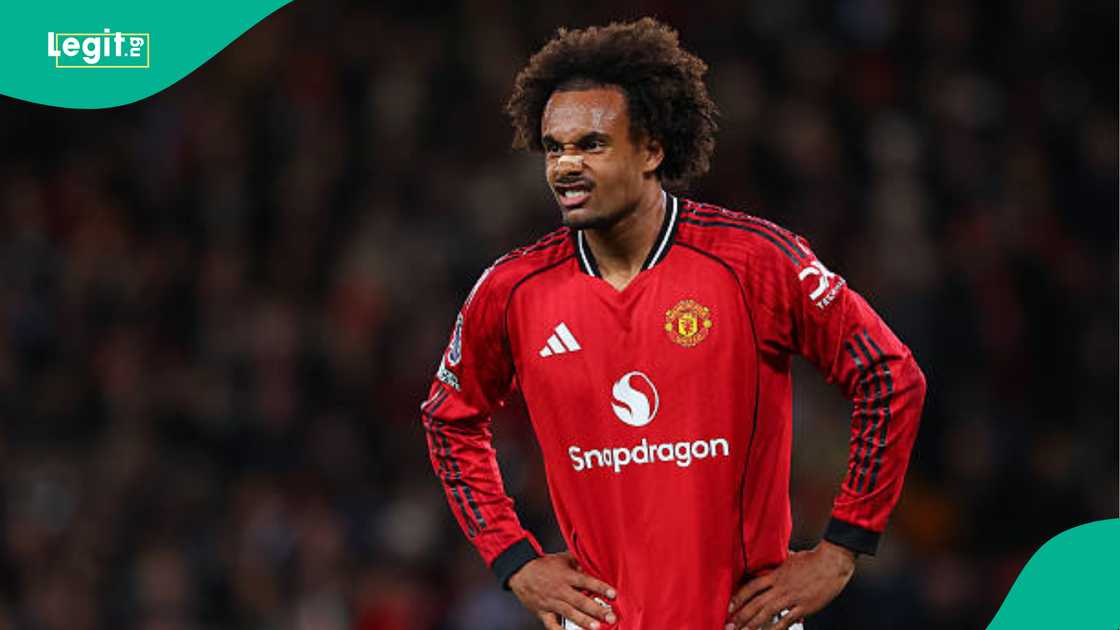 Joshua Zirkzee, Manchester United, AS Roma, English Premier League, football