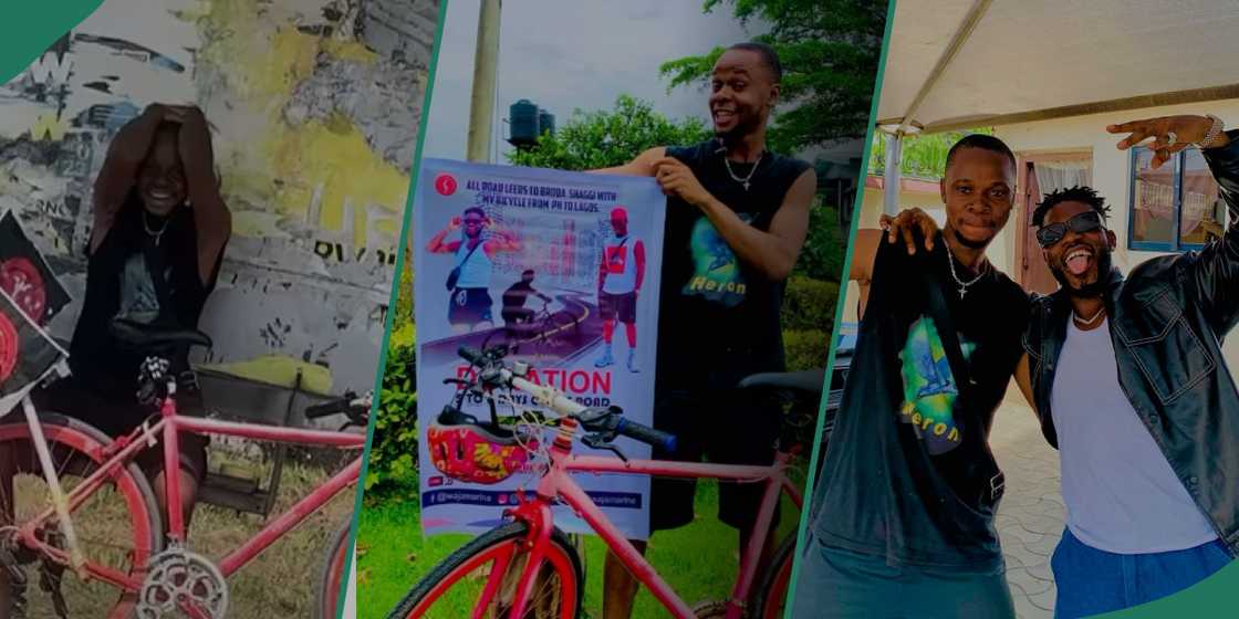 Broda shaggi Broda shaggi