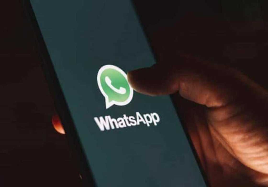 Manhajar WhatsApp