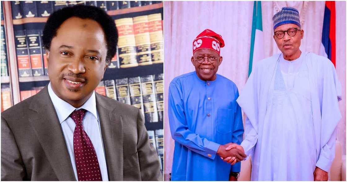 Shehu Sani, Bola Tinubu Shehu Sani, Bola Tinubu