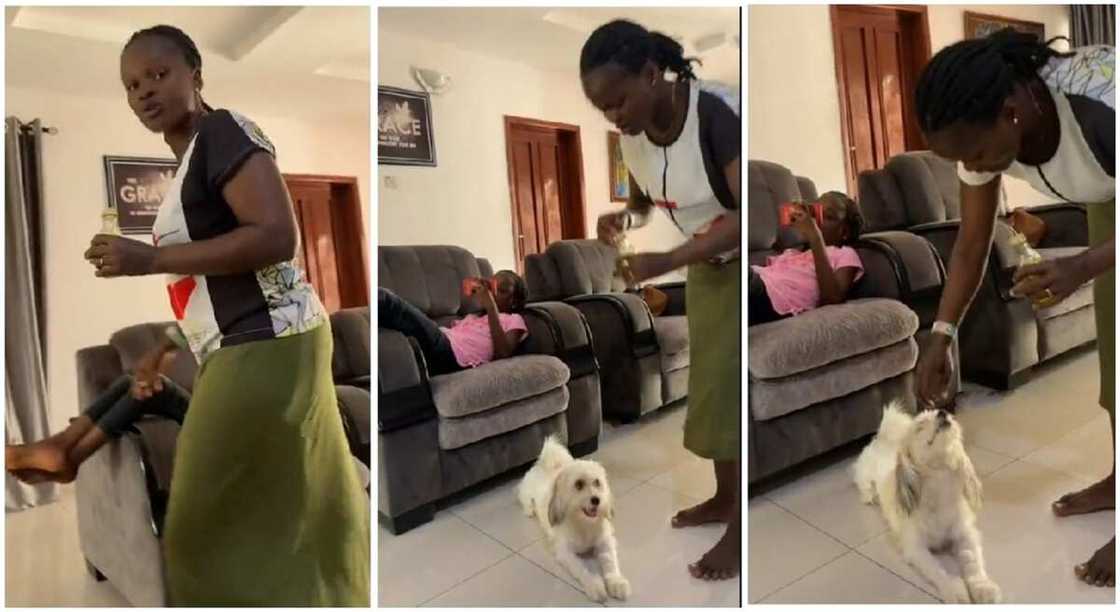 Photos of a Nigerian mum annointing her children and her dog. Photos of a Nigerian mum annointing her children and her dog.