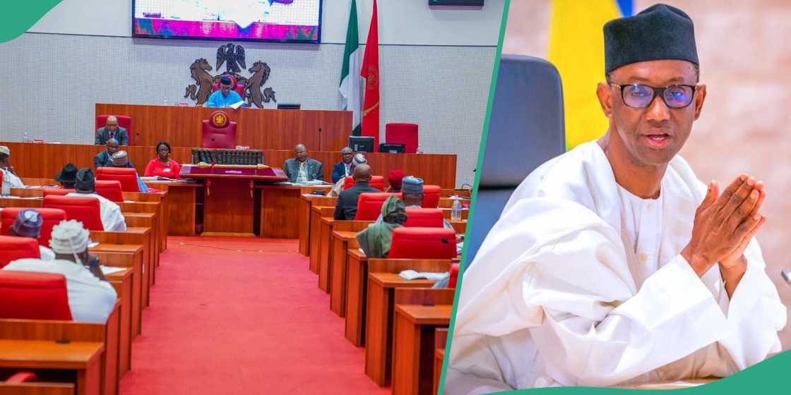 Senate takes action as US lawmaker alleges USAID was Boko Haram's sponsor Senate takes action as US lawmaker alleges USAID was Boko Haram's sponsor