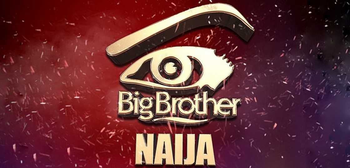 BBNaija news today BBNaija news today