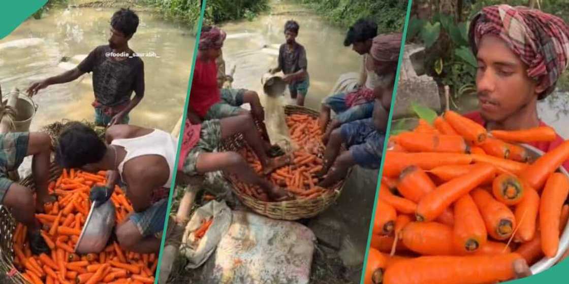 Reactions trail video of men using feet to wash carrots