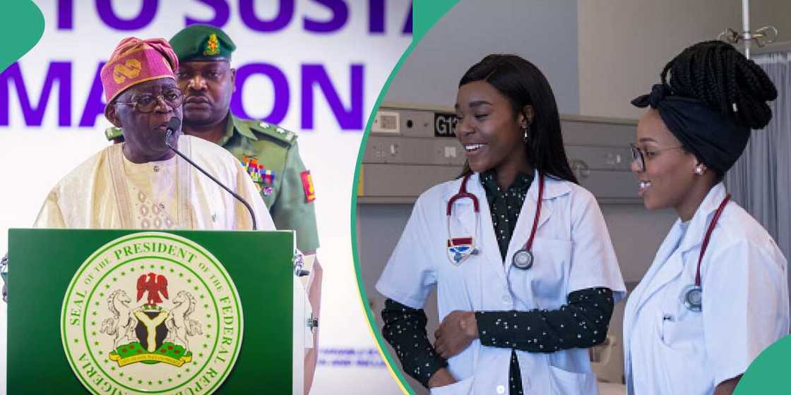 Tinubu, FG, Tinubu, doctors, nurses, others, 50 billion health fund Tinubu, FG, Tinubu, doctors, nurses, others, 50 billion health fund