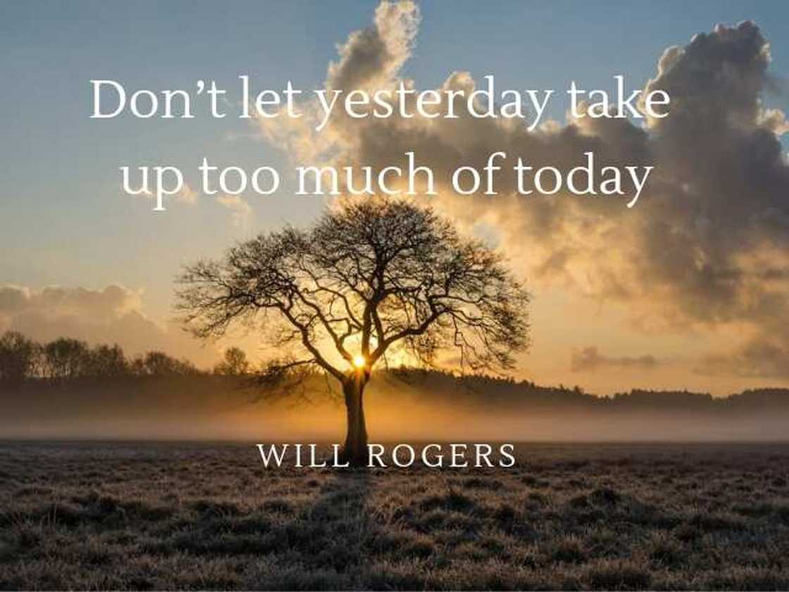 Rogers quote Rogers quote