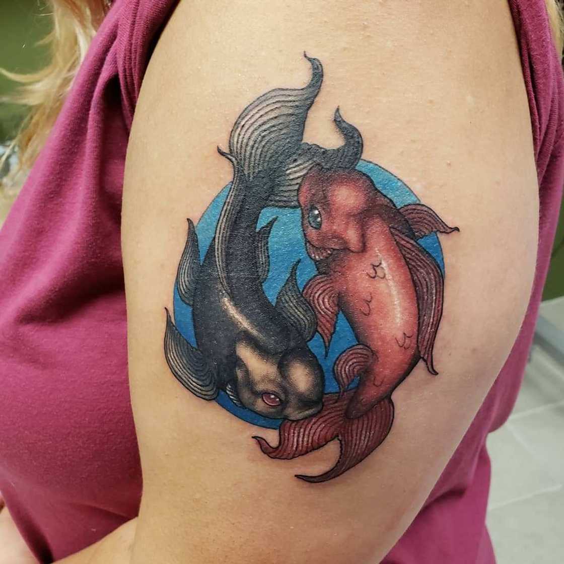 Pisces constellation tattoo Pisces constellation tattoo