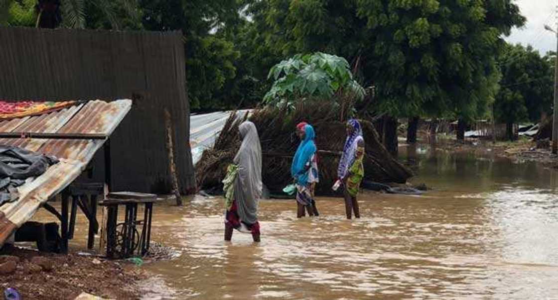 Ambaliyar ruwa a Jigawa.