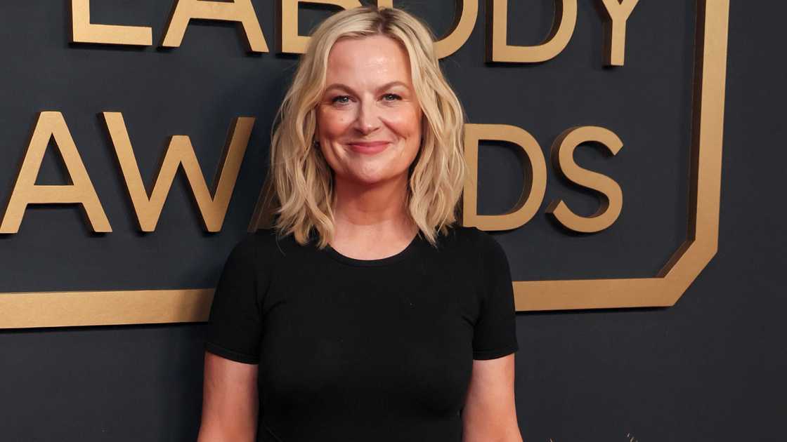 Amy Poehler poses on the red carpet of the 85th annual Peabody Awards at Beverly Wilshire. Amy Poehler poses on the red carpet of the 85th annual Peabody Awards at Beverly Wilshire.
