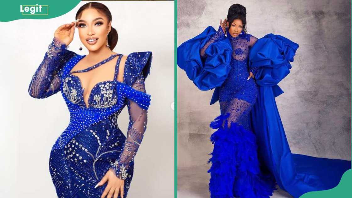 Ladies in royal blue sequence gowns Ladies in royal blue sequence gowns