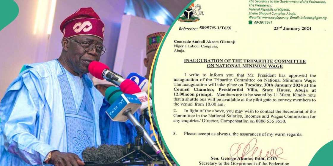 Karin albashi Karin albashi