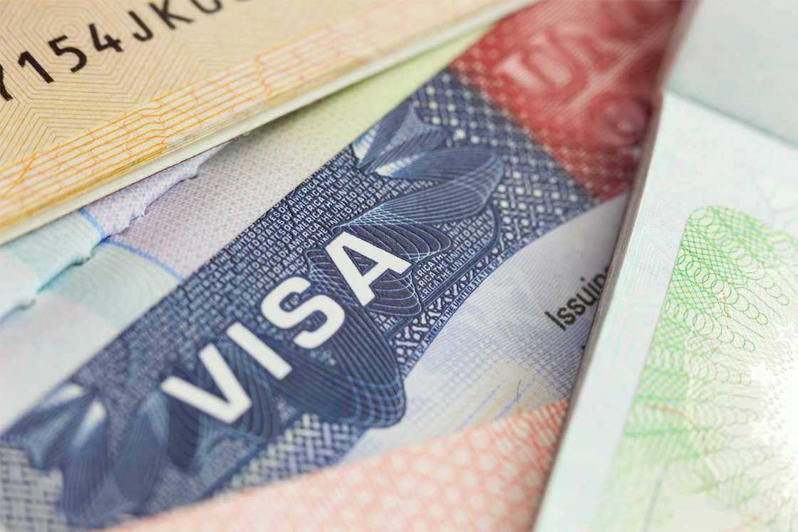 Malaysia visa requirements from Nigeria Malaysia visa requirements from Nigeria