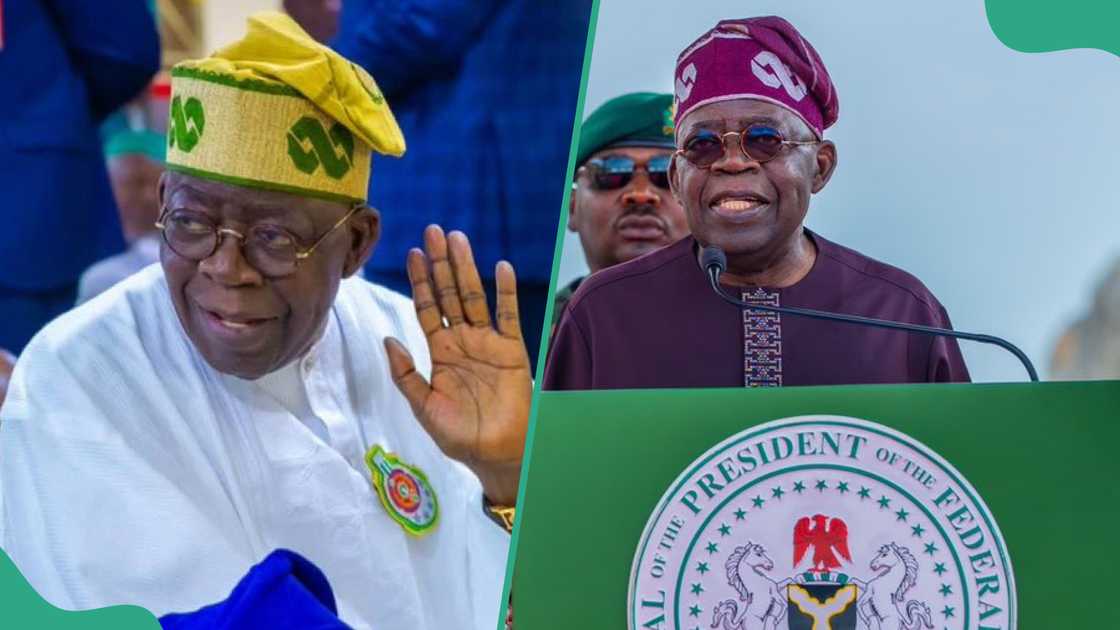 President Bola Tinubu has said that he removed the fuel subsidy and stopped the multiple exchange rate because of his drive to revive the economy. President Bola Tinubu has said that he removed the fuel subsidy and stopped the multiple exchange rate because of his drive to revive the economy.