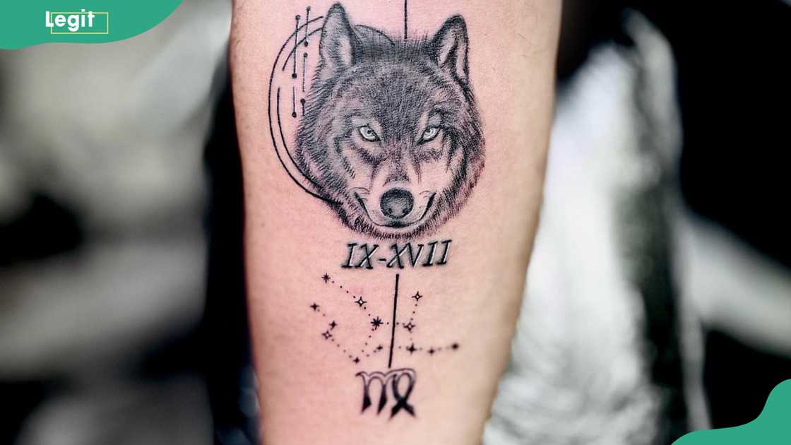 Virgo spirit animal design Virgo spirit animal design