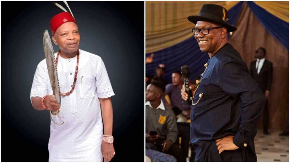 Chief Arthur Eze/Peter Obi/2023 Presidential Election