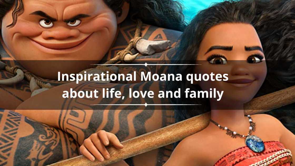 Famous Maui Quotes Quotes And Leadership Lessons From Moana 2 famous-maui-quotes-quotes-and-leadership-lessons-from-moana-2