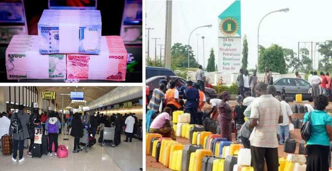 Japa, Naira Redesign and other trends in the Nigerian economy in 2022 Japa, Naira Redesign and other trends in the Nigerian economy in 2022