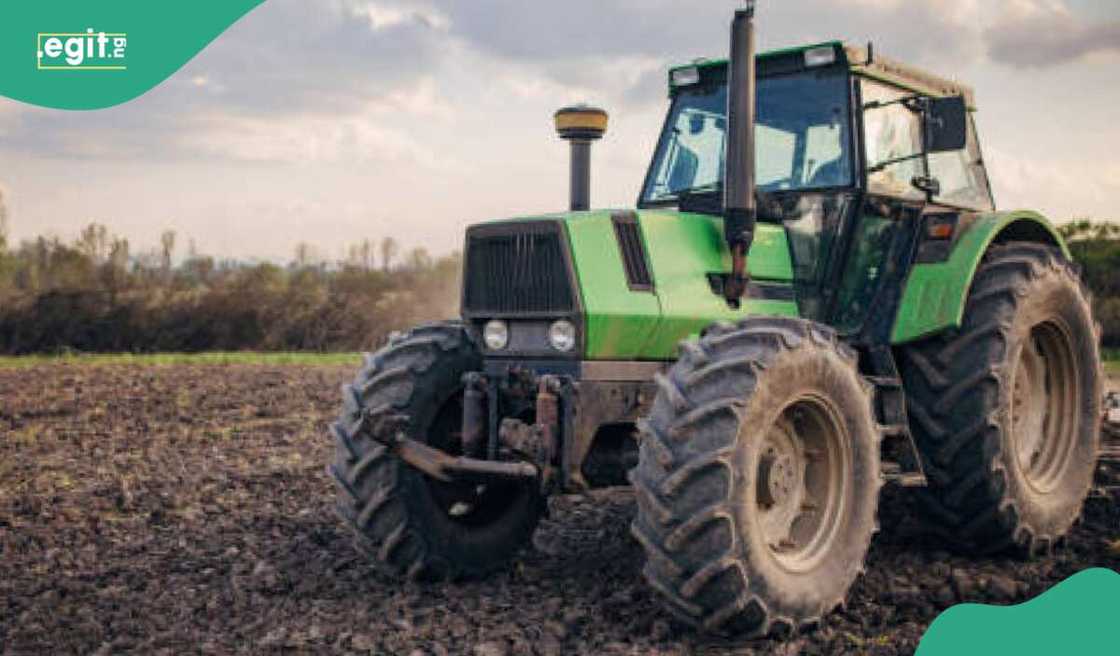 Motar noma Motar noma