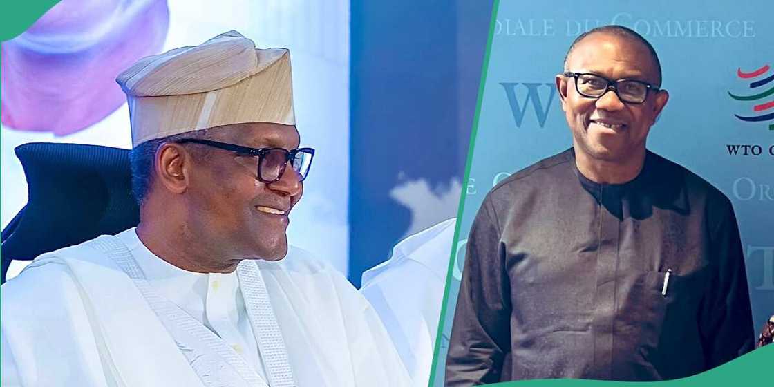 Peter Obi: Dangote opposition to 30 percent interest rate proves me right Peter Obi: Dangote opposition to 30 percent interest rate proves me right