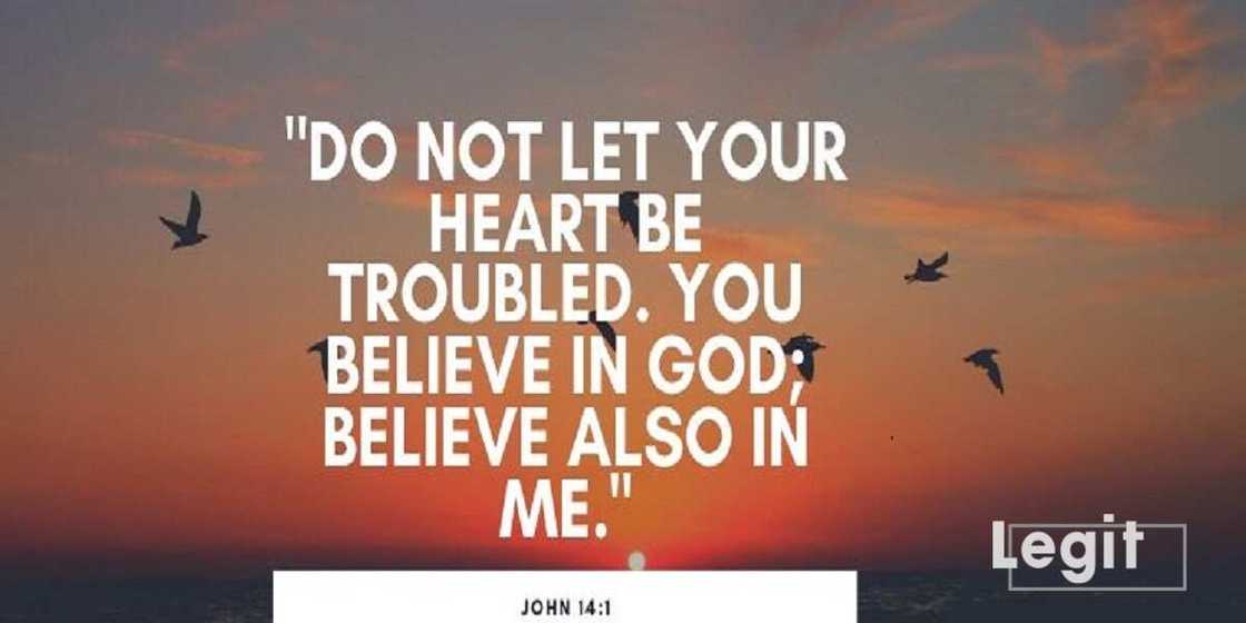 Comforting words Comforting words