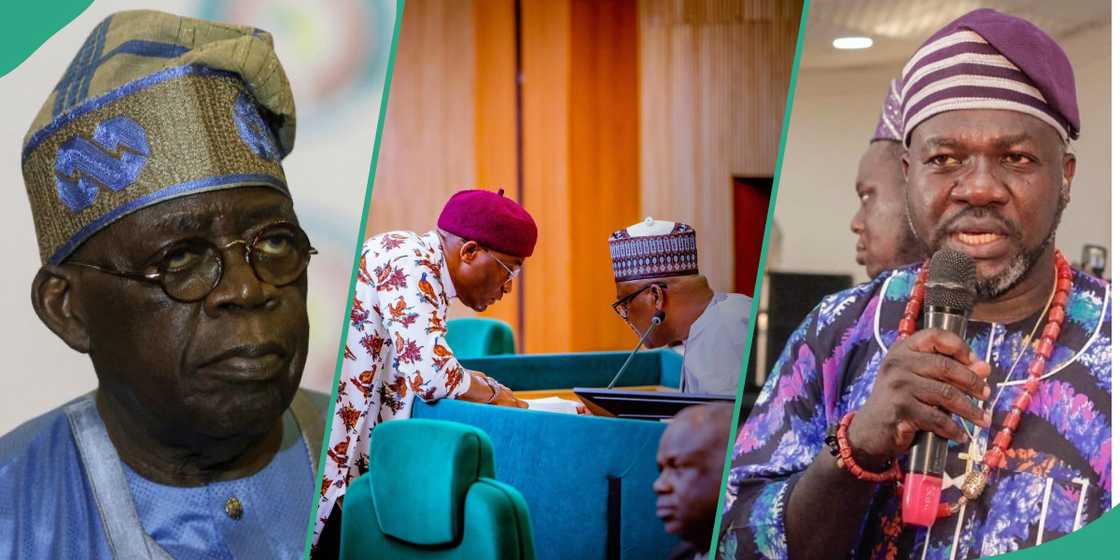 Yoruba Council backs Reps on establishment of Bola Tinubu Varsity