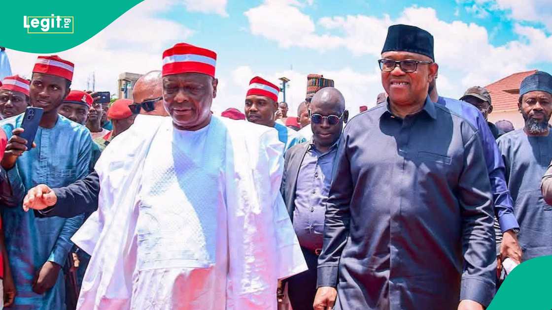 Kwankwaso. Kwankwaso.