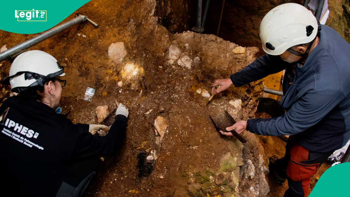 Scientists excavating the Spanish site where they discovered the jaw bones of an ancient man known as Homo affinis erectus.