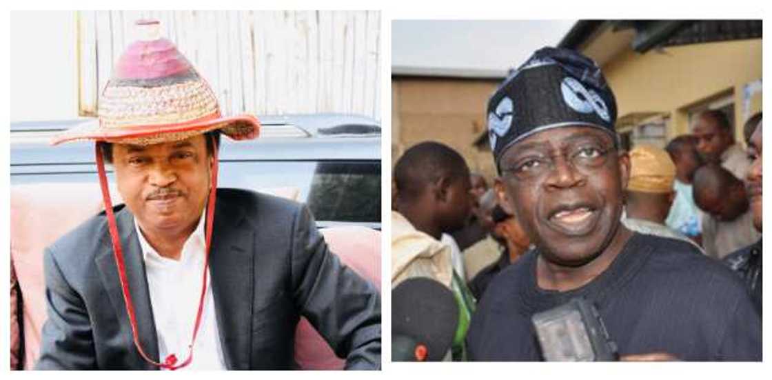 Get a Trustworthy Hausa or Fulani Interpreter - Ex-PDP Senator to Tinubu Get a Trustworthy Hausa or Fulani Interpreter - Ex-PDP Senator to Tinubu