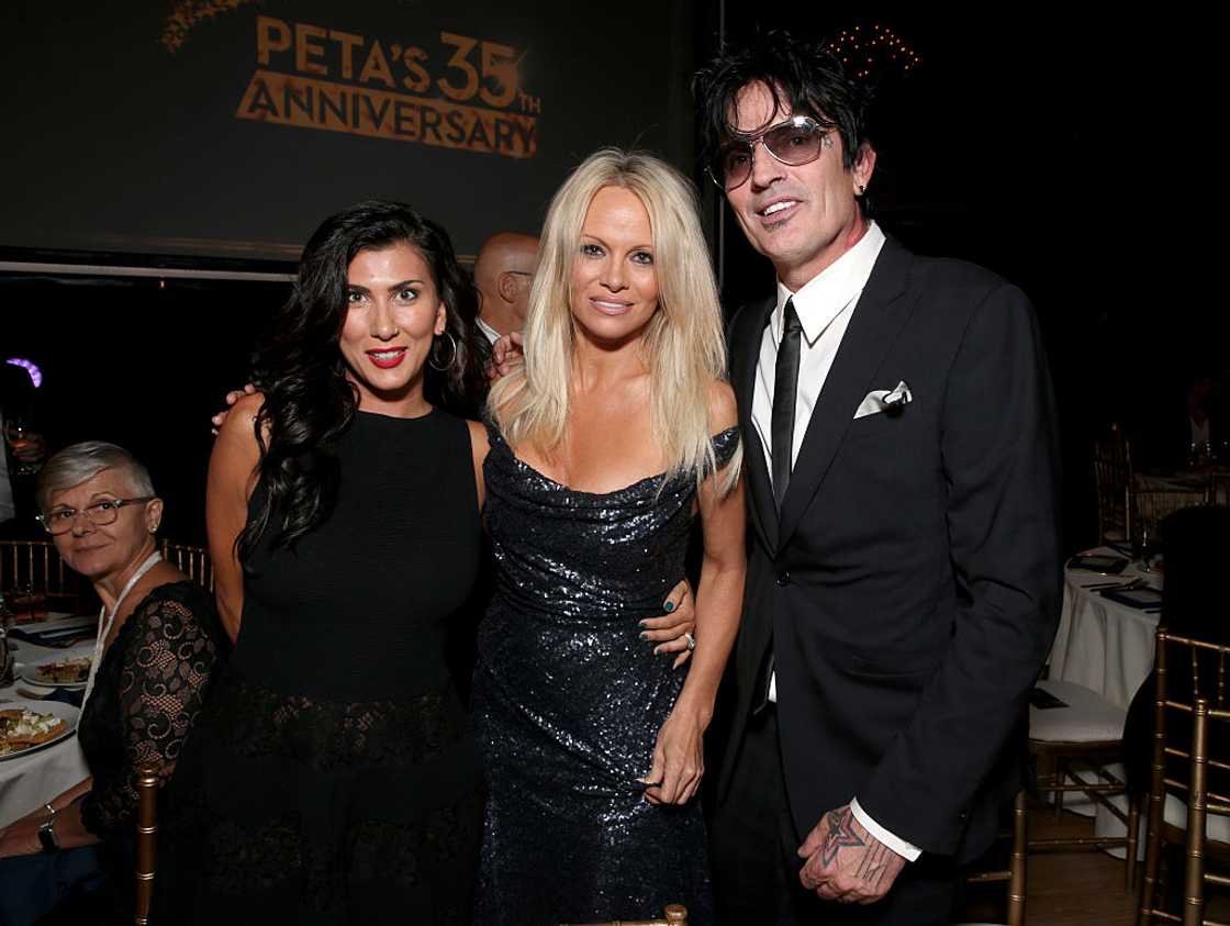 Sofia Toufa, actress Pamela Anderson (C) and musician Tommy Lee (R) attend a party in Los Angeles Sofia Toufa, actress Pamela Anderson (C) and musician Tommy Lee (R) attend a party in Los Angeles