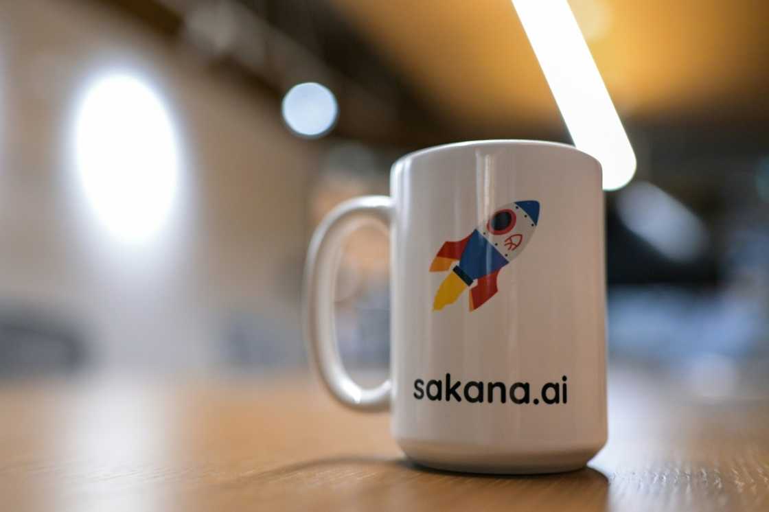 The word sakana means fish in Japanese, and the start-up says it is inspired by nature The word sakana means fish in Japanese, and the start-up says it is inspired by nature
