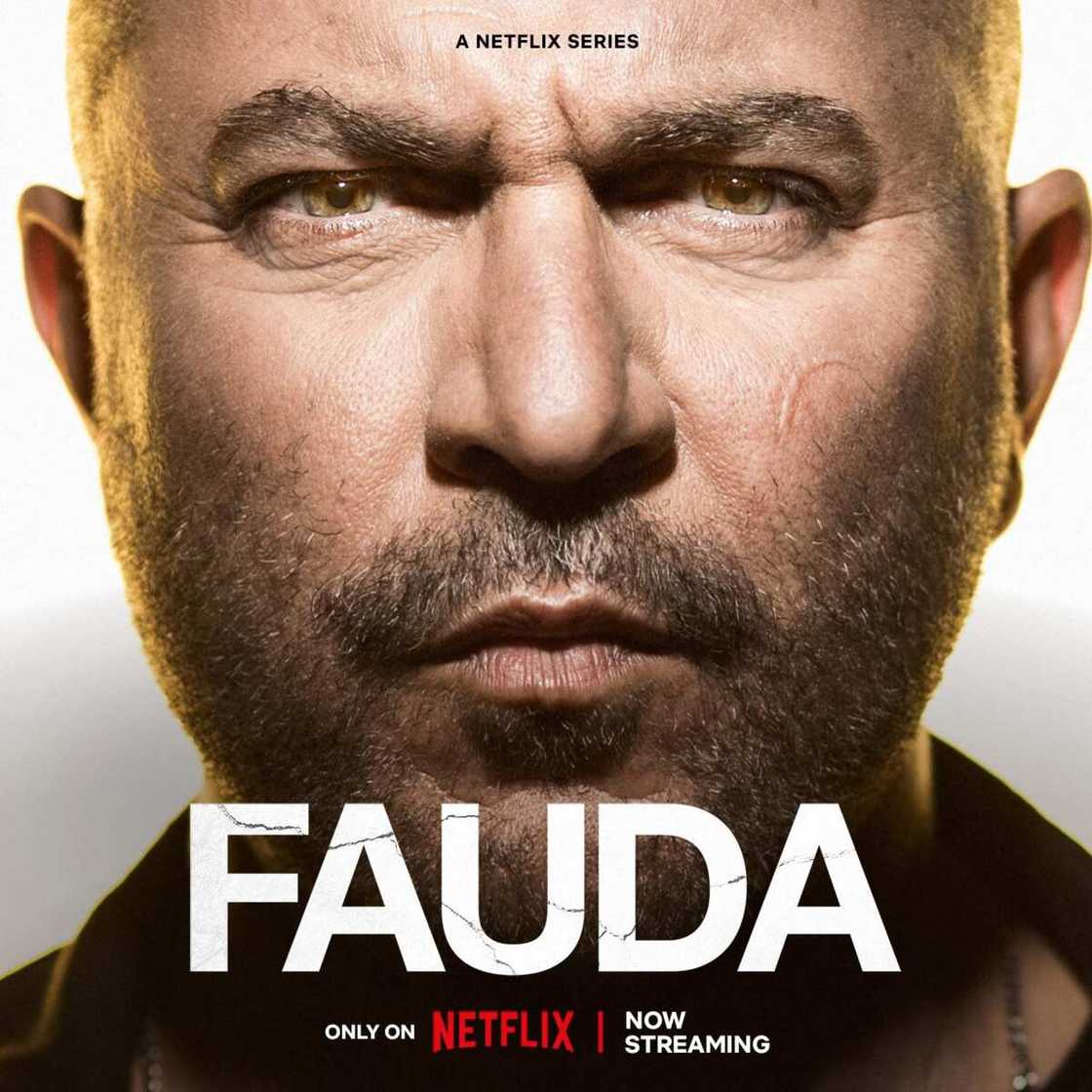 Fauda saison 5 Fauda saison 5